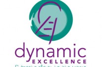 Dynamic Excellence Logo